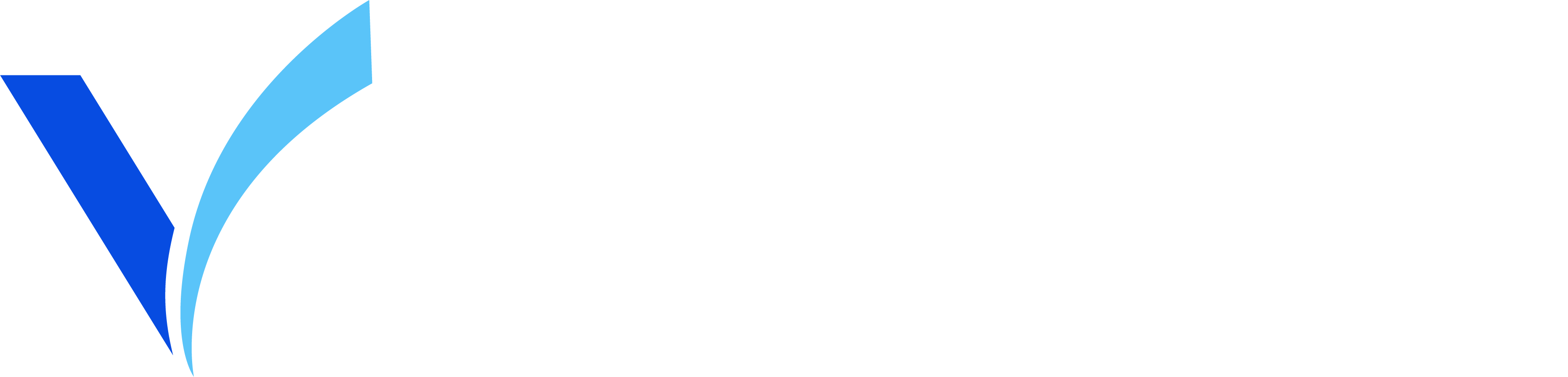 voxmeta-logo-white